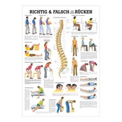 Ergonomisk plakat af arbejdsstillinger
