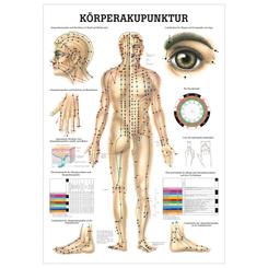 Plakat med akupunkturpunkter på kroppen
