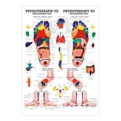 Plakat med føddernes reflekszoner