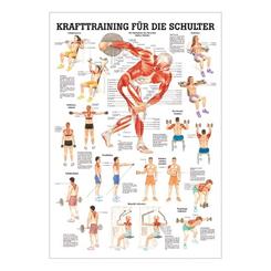 Plakat til Skuldertræning