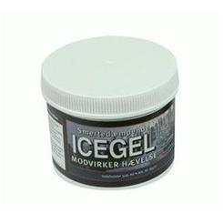 Aserve Isgel